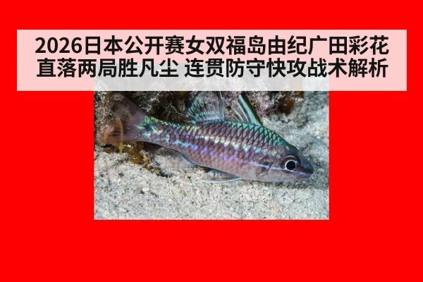 2026日本公开赛女双福岛由纪广田彩花直落两局胜凡尘 连贯防守快攻战术解析