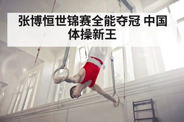 张博恒世锦赛全能夺冠 中国体操新王