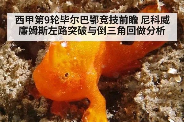 西甲第9轮毕尔巴鄂竞技前瞻 尼科威廉姆斯左路突破与倒三角回做分析